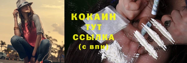 apvp Дмитриев
