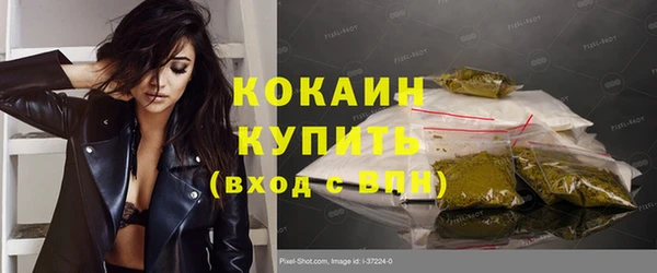 ГАЛЛЮЦИНОГЕННЫЕ ГРИБЫ Гусев