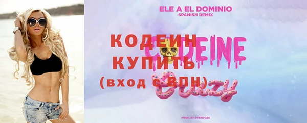 apvp Дмитриев