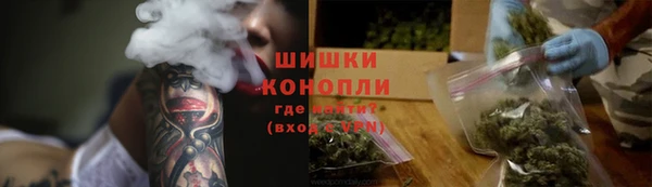 эйфоретик Гусь-Хрустальный
