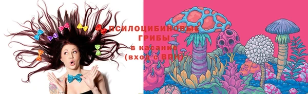 apvp Дмитриев
