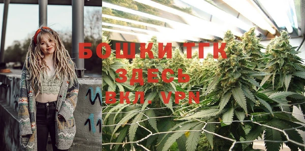 apvp Дмитриев